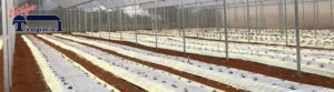 Estufa Agrícola - Melhor Preço - Financiamento - Promoção