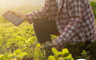 é possível aumentar a produtividade agrícola?