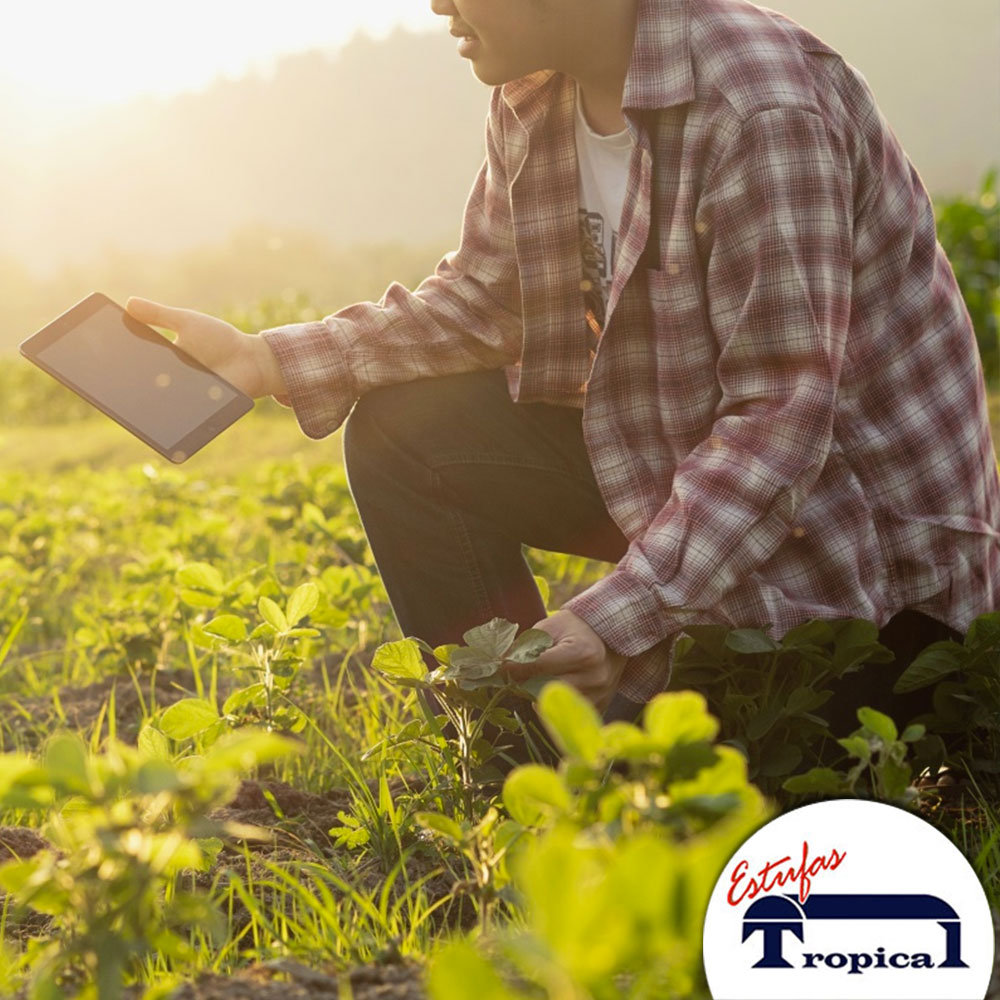 é possível aumentar a produtividade agrícola?