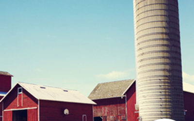 Armazenagem de grãos no silo: conheça os principais cuidados