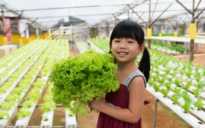 Conheça as principais vantagens e desvantagens dos alimentos hidropônicos