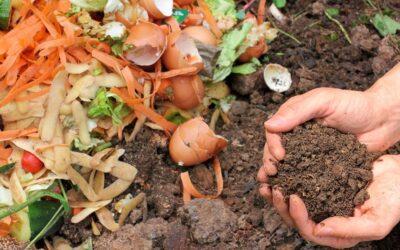 Aprenda como fazer compostagem orgânica com restos de alimentos