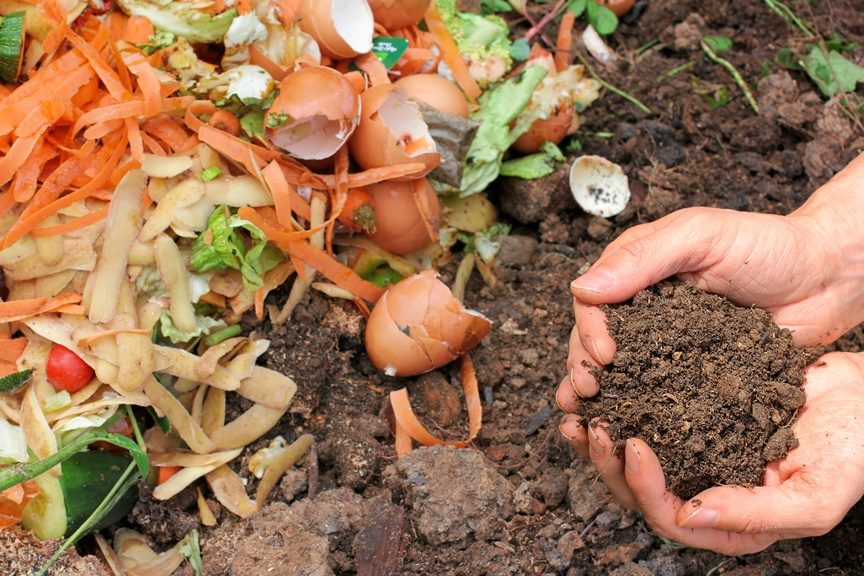 Aprenda como fazer compostagem orgânica com restos de alimentos