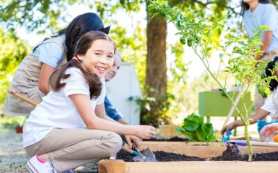 Entenda a importância da horta na escola e como fazer um projeto