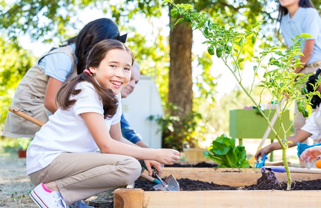 Entenda a importância da horta na escola e como fazer um projeto