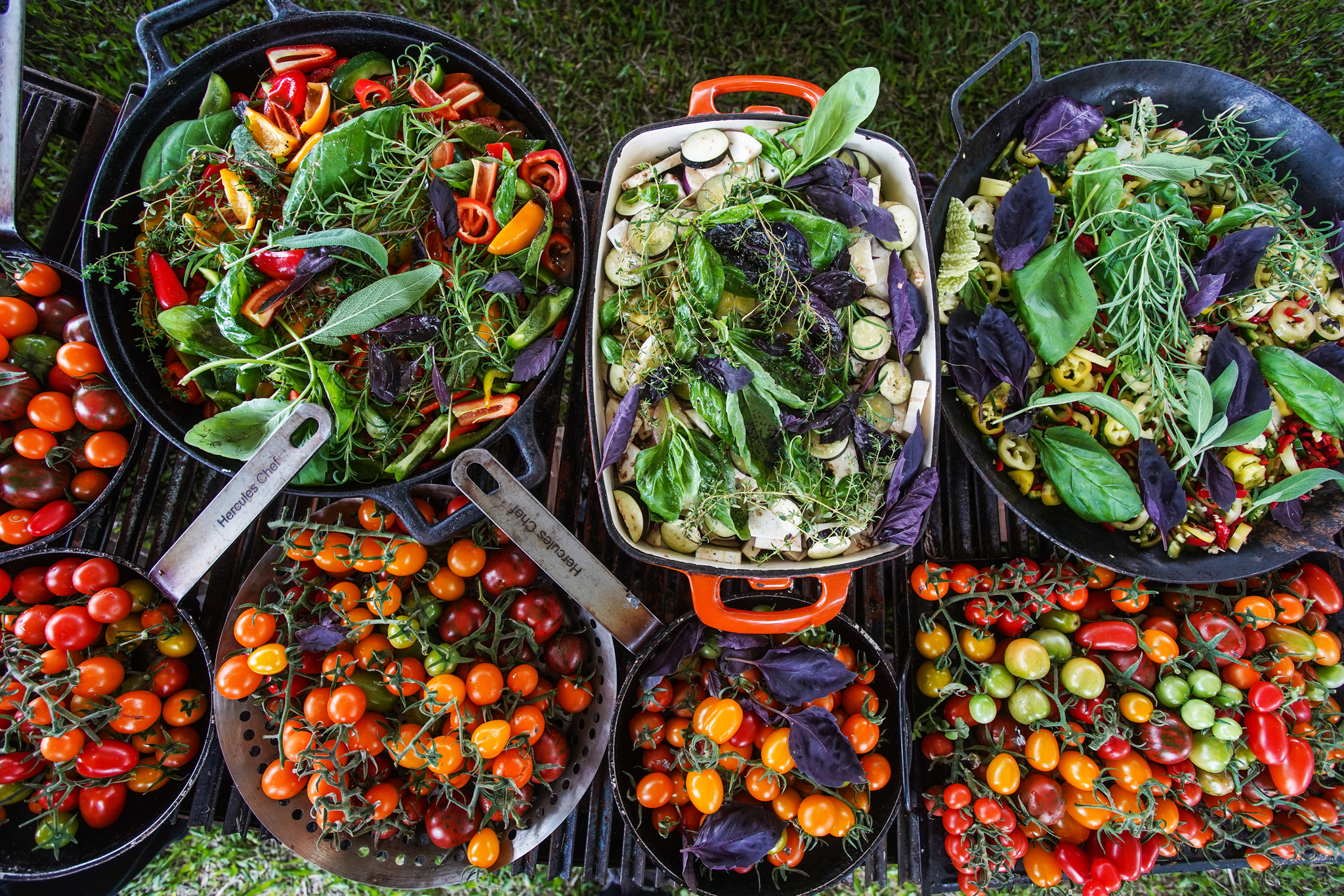 Colheita dos Chefs 2019: Evento da ISLA Sementes une horticultura e gastronomia