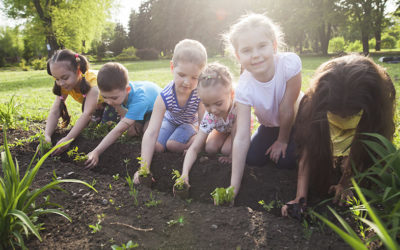 Dicas para inserir as crianças na jardinagem