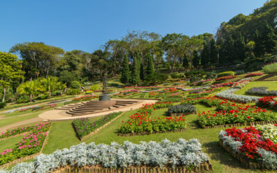 Os jardins mais bonitos do mundo