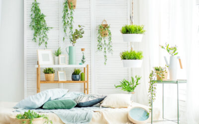 Com hidroponia, plantas podem ser cultivadas para decorar a casa