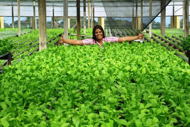 Horticultores que alcançaram sucesso de produtividade em 2016