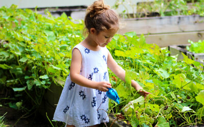 Aprenda como construir uma horta escolar