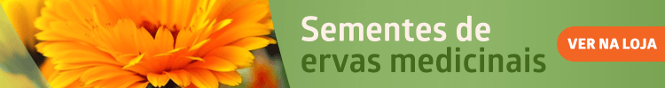 sementes de ervas medicinais