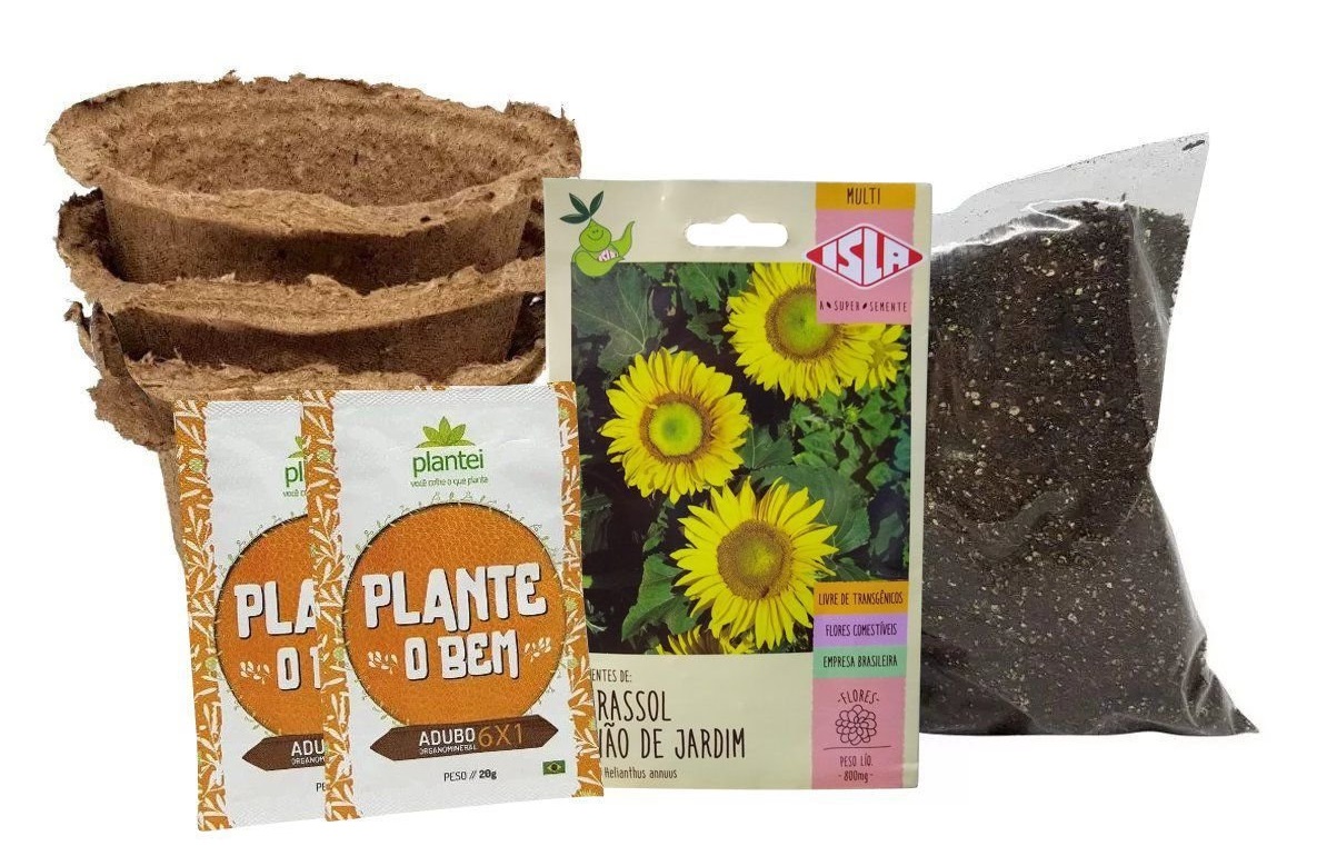 Como plantar e cultivar girassol - Tropical Estufas Agrícolas | Hidroponia  | Filme Agrícola | Tela Agrícola | Plástico para Estufa