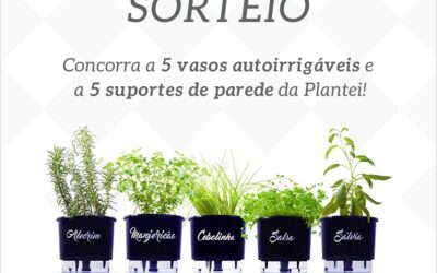 Concorra a 5 Vasos Autoirrigáveis Linha Gourmet e 5 Suportes de parede