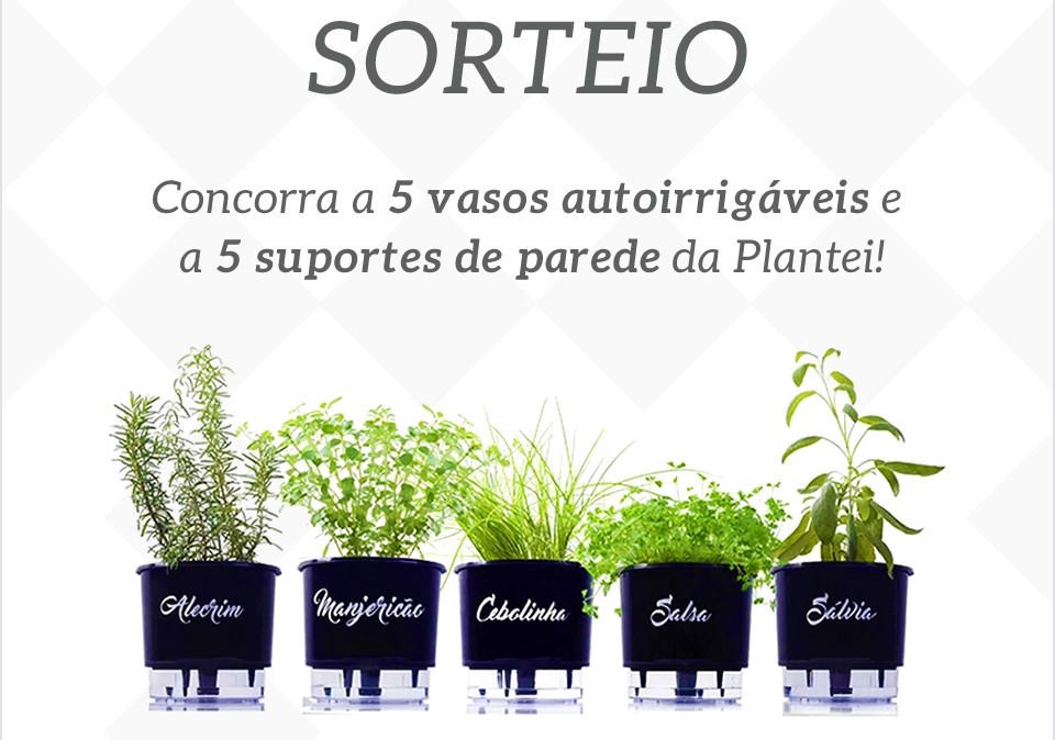 Concorra a 5 Vasos Autoirrigáveis Linha Gourmet e 5 Suportes de parede