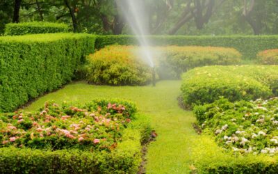 5 dicas para preservar seu jardim durante períodos de ausência