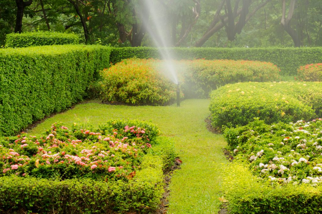 5 dicas para preservar seu jardim durante períodos de ausência