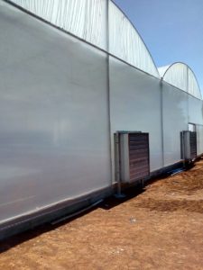 climatizacao em estufas agricolas pad fan