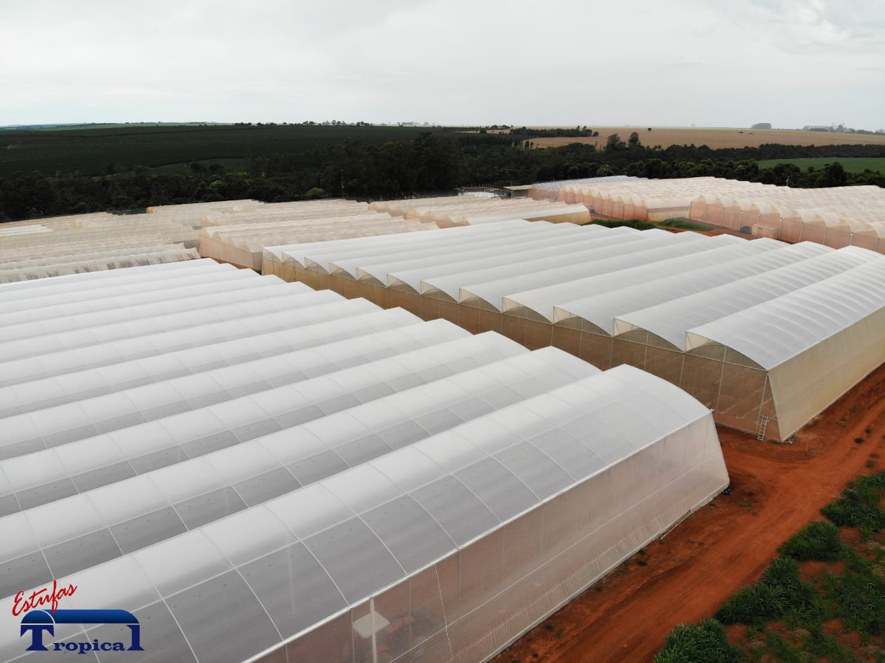 Brasil é todo cultivo protegido