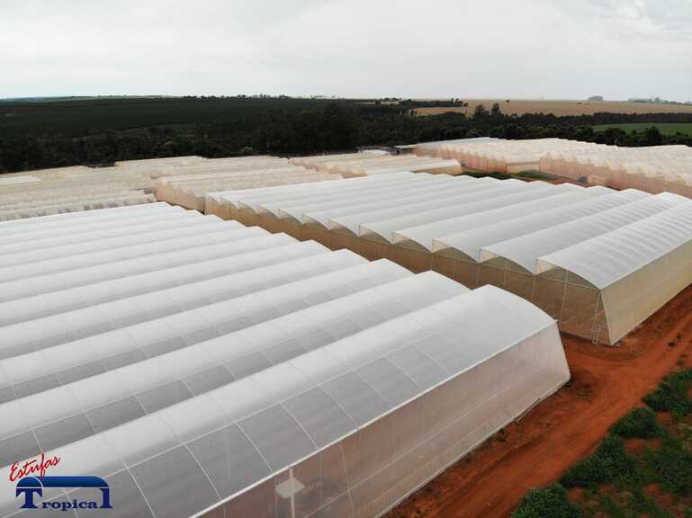 Brasil é destaque internacional no segmento de cultivo protegido