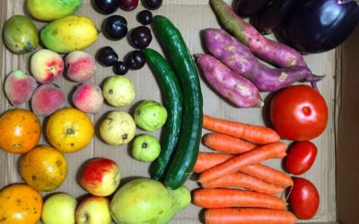 Delivery em SP entrega frutas e legumes “imperfeitos” com desconto