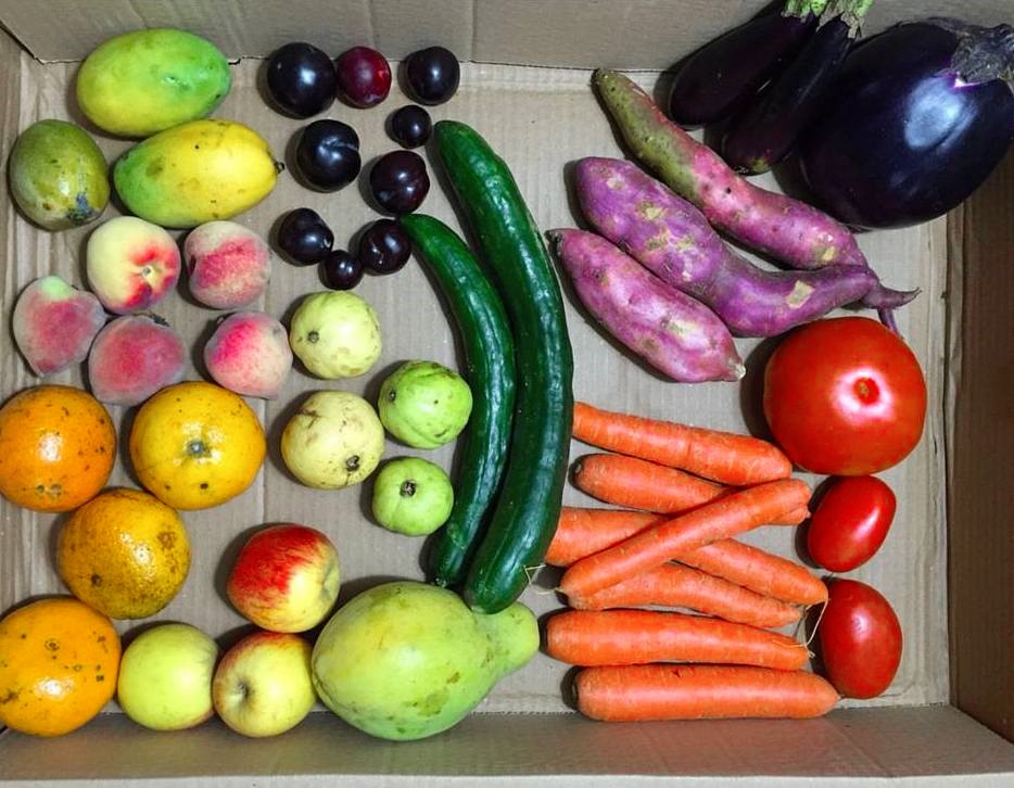 Delivery em SP entrega frutas e legumes “imperfeitos” com desconto