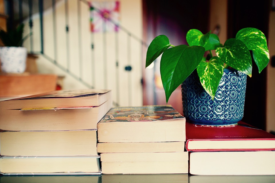 5 livros para saber mais sobre o mundo das plantas