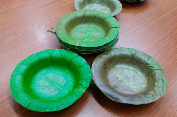 Universidade desenvolve pratos descartáveis feitos de folhas