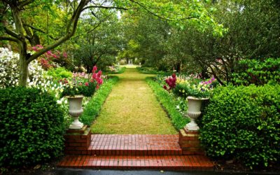 Conheça 10 dos maiores e mais belos jardins do mundo