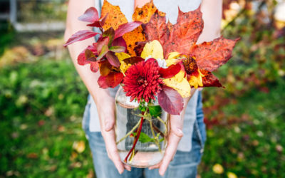 Como cuidar das plantas no outono? Confira 7 dicas!