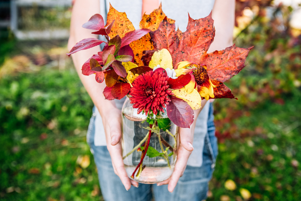 Como cuidar das plantas no outono? Confira 7 dicas!