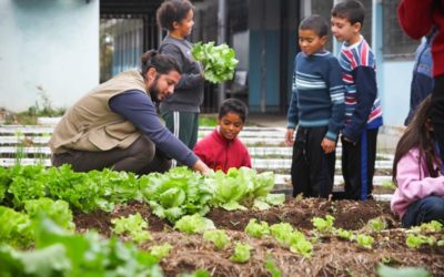 Manual grátis dá todas as dicas para criar e usar hortas educativas em escolas