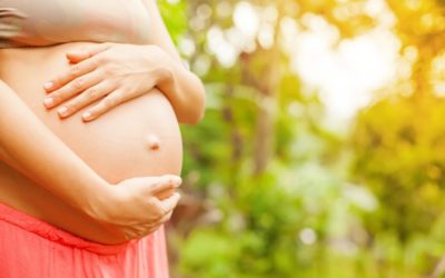 Plantas consideradas ‘amigas’ das mulheres grávidas