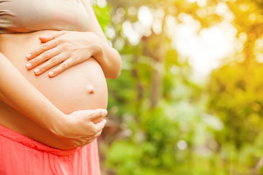 Plantas consideradas ‘amigas’ das mulheres grávidas