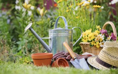 Saiba porque a jardinagem faz bem para a sua saúde