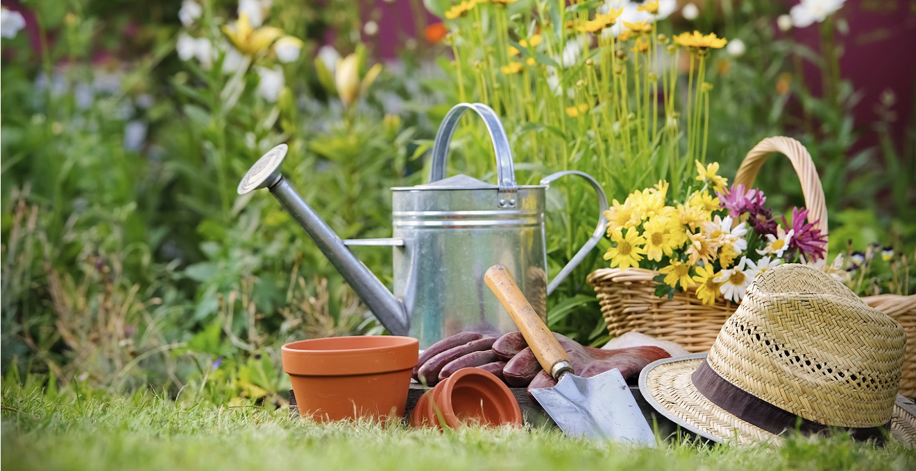 Saiba porque a jardinagem faz bem para a sua saúde