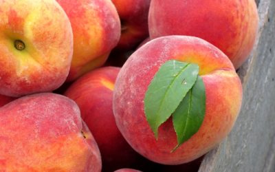 5 frutas ideais para consumir na primavera