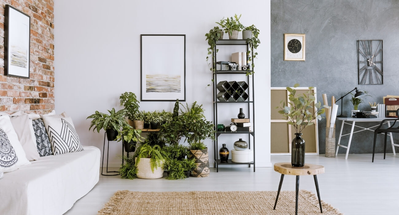 5 dicas de decoração com plantas