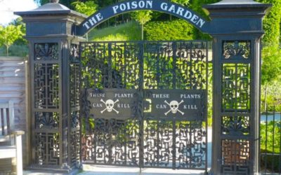 Poison Garden: o jardim mais perigoso do mundo que só cultiva espécies venenosas