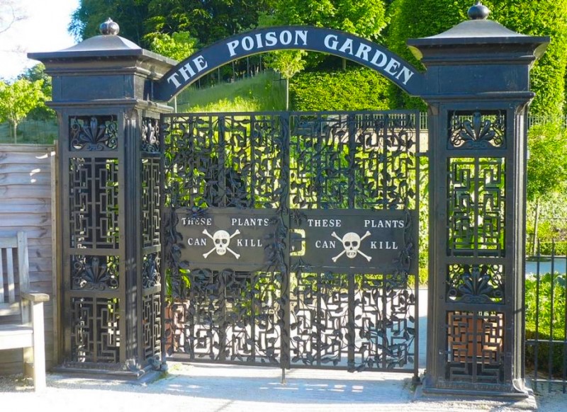 Poison Garden: o jardim mais perigoso do mundo que só cultiva espécies venenosas