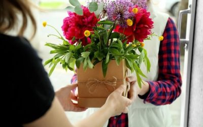 10 ideias de presentes para quem gosta de plantas e flores