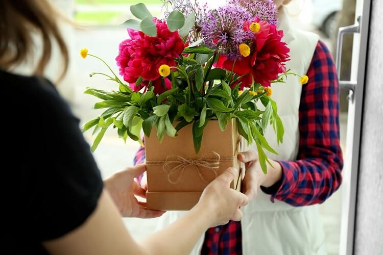 10 ideias de presentes para quem gosta de plantas e flores