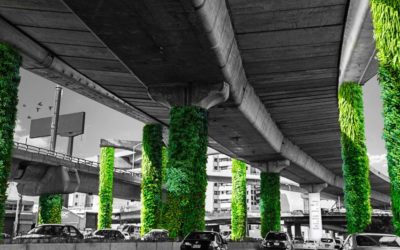 México transforma colunas de viadutos em jardins verticais