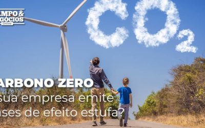 Carbono zero: a sua empresa emite gases de efeito estufa?