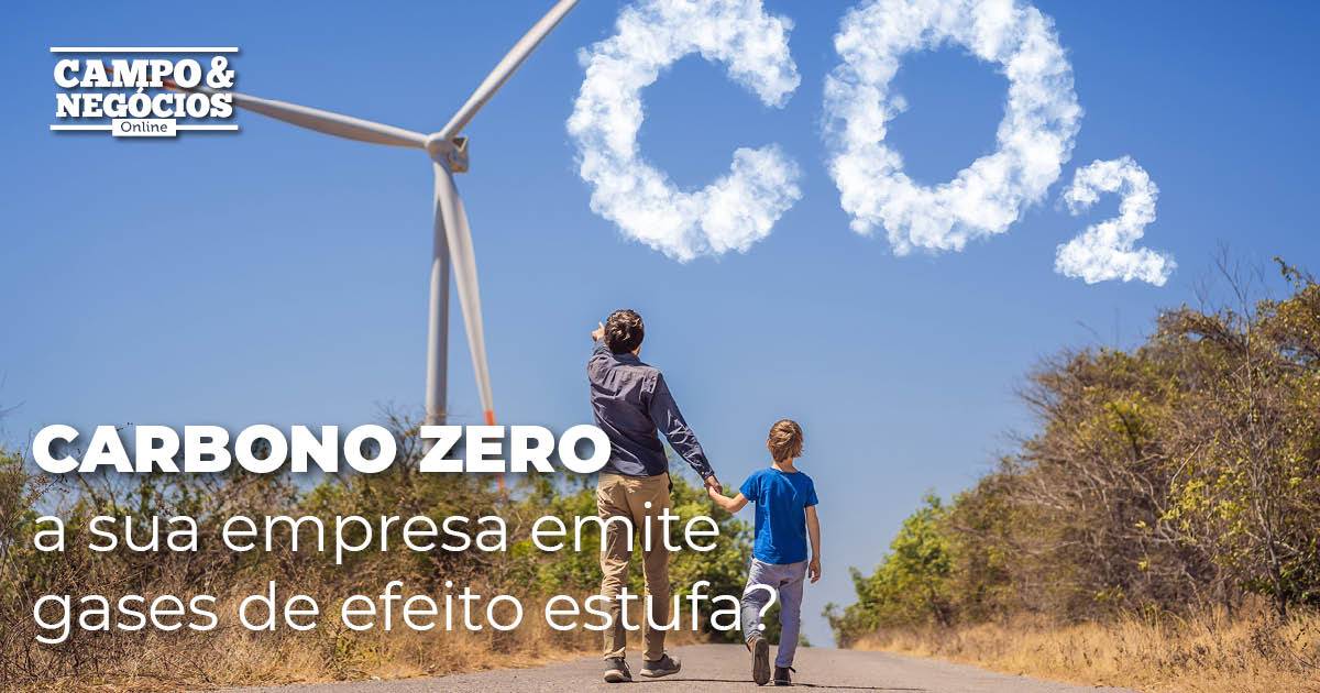 Carbono zero: a sua empresa emite gases de efeito estufa?