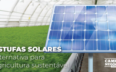 Estufas solares: alternativa para agricultura sustentável