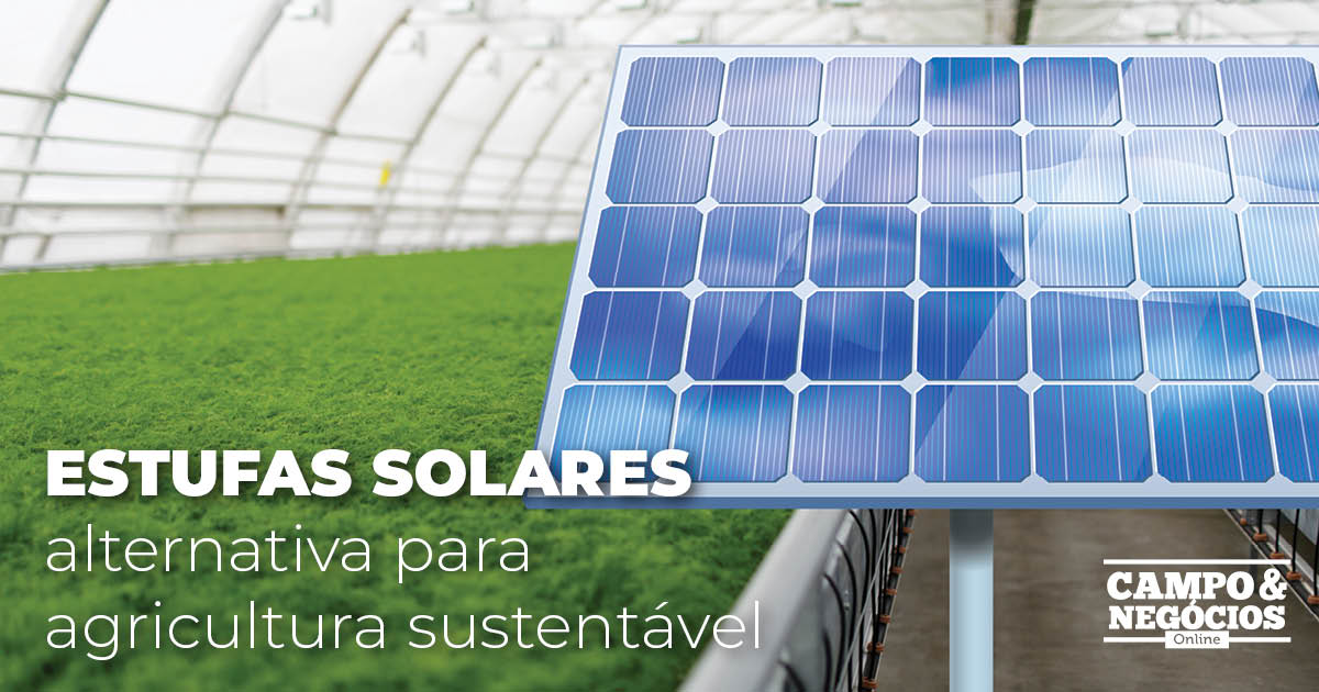 Estufas solares: alternativa para agricultura sustentável