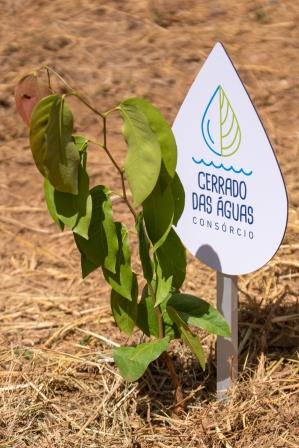 Federação dos Cafeicultores do Cerrado apoia o projeto “Investidores pelo Futuro”