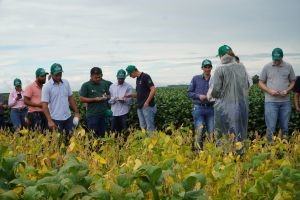 Evento técnico norteia o setor para a próxima safra de soja