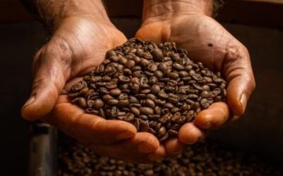 Nucoffee apresenta inovações para o mercado de cafés especiais